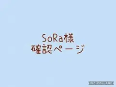 SoRa様専用ページ