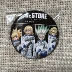 Dr.STONE TeNQ 缶バッジ 宇宙服 ストロータグ セット - メルカリ