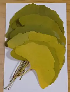 Item thumbnail for item ab2b3af7-7f8d-46bf-b789-395b4be0fbda