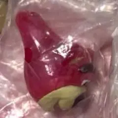 専用です♡