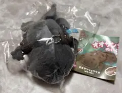 オオサンショウウオぬいぐるみ　ガチャ　幼生