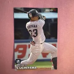 Calbeeプロ野球チップス2023 東京ヤクルトスワローズ 内山壮真