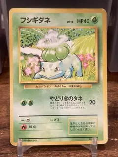 ARS10 フシギダネ 1996 初版　　ポケモンカード ポケモンカード 旧裏面 旧裏 マークなし 初版 フシギダネ Pokemon