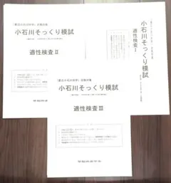 林修・中野芳樹 東大現代文 解答例 - メルカリ