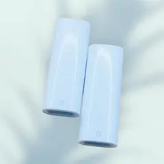 【2個セット】純正 USB-C Apple PenciIアダプタ－ A2869