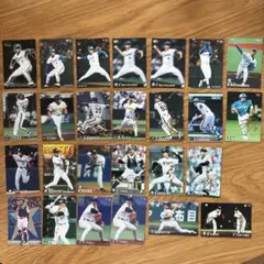 【限定値下げ】プロ野球 トレーディングカードセット