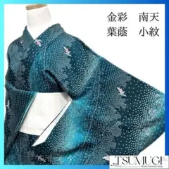 カシノキ蘭　『金牡丹縞』大きい11枚葉 富貴蘭　風蘭　長生蘭　山野草　セッコク カシノキ蘭 『金牡丹縞』大きい11枚葉 富貴蘭 風蘭 長生蘭 山野草