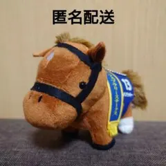 コパノリッキー 第31回フェブラリーステークス サラブレッドコレクション