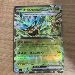 オーガポン みどりのめんex RR SV6 変幻の仮面 016/101 - メルカリ