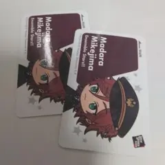 あんさんぶるスターズ 三毛縞斑 カード セット あんスタ ２