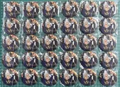 ツイステ ジャック スモプラ 式典服 缶バッジ 30点