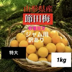 数量限定‼️木成り完全完熟❗️山形県産『節田梅』ジャム用訳あり1kgのサムネイル