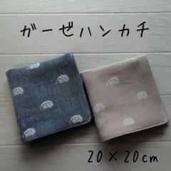 ダブルガーゼハンカチ★ハンドメイド★２枚セット★複数購入がお得です♪