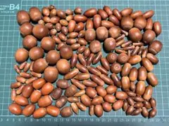 のの様 リクエスト 2点 まとめ商品