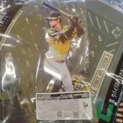阪神タイガース優勝記念中野拓夢