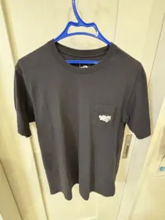 THE NORTH FACE ショートスリーブ プロスペクターワングレインティー