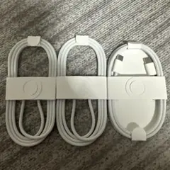 Apple純正C to Cケーブル　iPhone iPad付属品　3本セット
