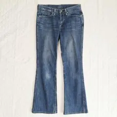 Levistrauss&co. ストレッチブーツカットデニム　31(M～L)