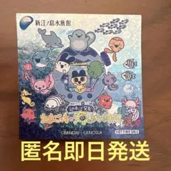 たまごっち　キラキラ　ホログラム　シール　ステッカー　えのすい　新江ノ島水族館