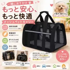 新品 ペットキャリーバッグ 犬猫 小型犬 折りたたみ 2WAY 反射ライン付のサムネイル