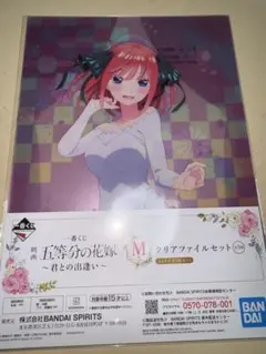 Item thumbnail for item da4504c2-01f7-41c4-9c5f-ab2007614e1f