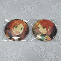 あんスタ 葵ひなた 葵ゆうた イベコレ缶バッジ