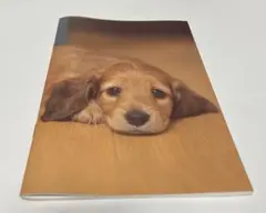 実写 犬 A5ノート