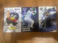 東京ヤクルトスワローズ カードセット