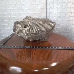 Item thumbnail for item e35675e9-79e9-4a22-b05e-62ec64cdefe3