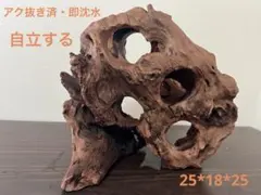 流木オブジェ 005鳥 カワセミ オブジェ ハンドメイド コレクション