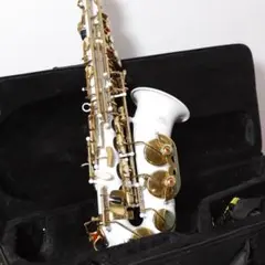 Item thumbnail for item bfa6f138-6352-4214-a880-2920a2a268eb