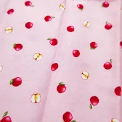 【はぎれ】綿100% 管理番号76
