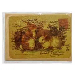 メッセージカード レターセット ウサギ