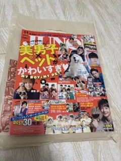 JUNON 2014年11月号 三浦翔平 山﨑賢人 菅田将暉