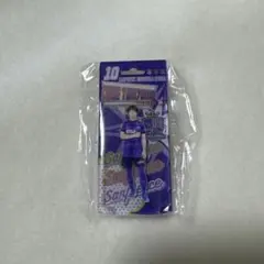 サンフレッチェレジーナ 瀧澤千聖　プレイヤーズ ブリスター風キーチェーン 10
