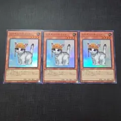 遊戯王 レスキューキャット スーパーレア 3枚セット