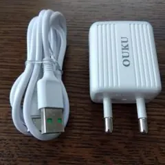 海外CタイプAC充電器+USB-C充電ケーブルセット
