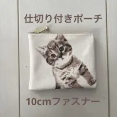 仕切り付きポーチ 10cmファスナー ラミネート 猫 可愛い子猫 ハンドメイド