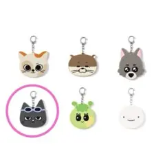 BOYNEXTDOOR BBNEXDO ポップアップ キーリング テサン