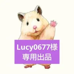 メンバー文字シール＆◎◯◯ロゴシールセット【Lucy0677様専用】