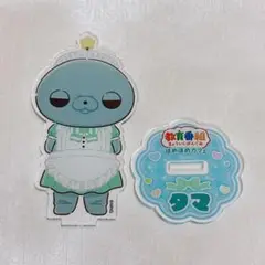教育番組 タマ ほめほめカフェ アクリルスタンド