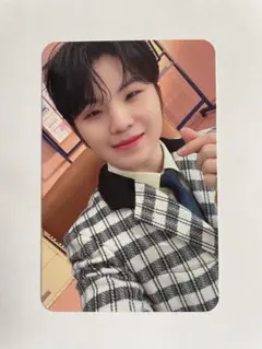 SEVENTEEN セブチ FML ビートロード ヨントントレカ ウジ