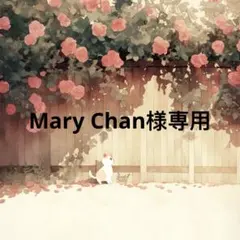 アン子 様 専用 - メルカリ