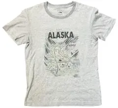THE NORTH FACE ALASKA Tシャツ リンガー