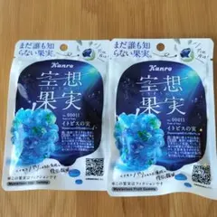 【2個セット】Kanro 空想果実　イトピスの実のサムネイル