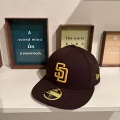 【美品】NEWERA キャップ9FIFTY SD 7 1/2