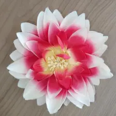 Item thumbnail for item c45d3385-9ee0-4243-8d01-4cdf05d7d9a6