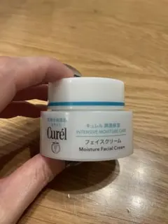 Curél Moisture Facial Cream 40g
