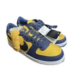 NIKE TERMINATOR LOW OG