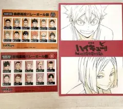 劇場版 ハイキュー ゴミ捨て場の決戦 映画特典 まとめ売り